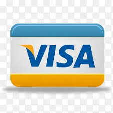 cv666 Visa payment icon
