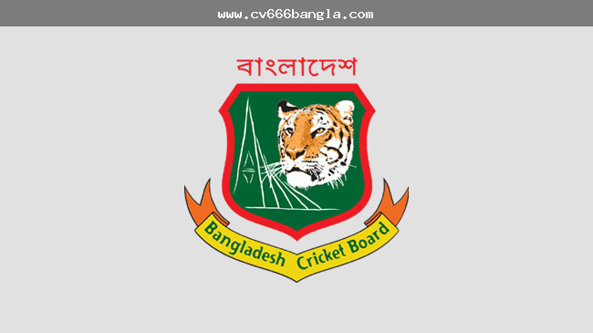 বেট স্লিপ, স্টেক লিমিট ও অ্যাকাউন্ট যাচাই বিষয়গুলো নোট করছেন এমন ব্যবহারকারী