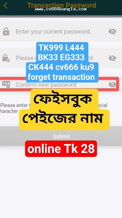 CV666 Bangla transaction record support