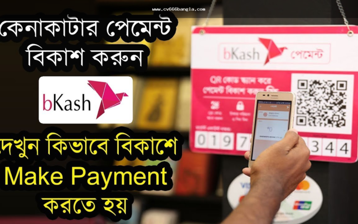 cv666 bKash payment করার আগে পেমেন্ট ঝুঁকি যাচাই