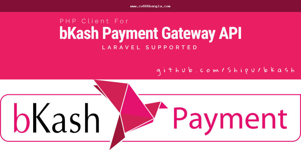 Image: CV666 bKash payment flow placeholder