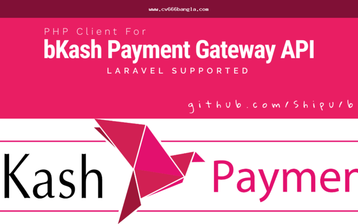 cv666 bKash payment: টাকা পাঠানো-তোলার আগে যা দেখবেন